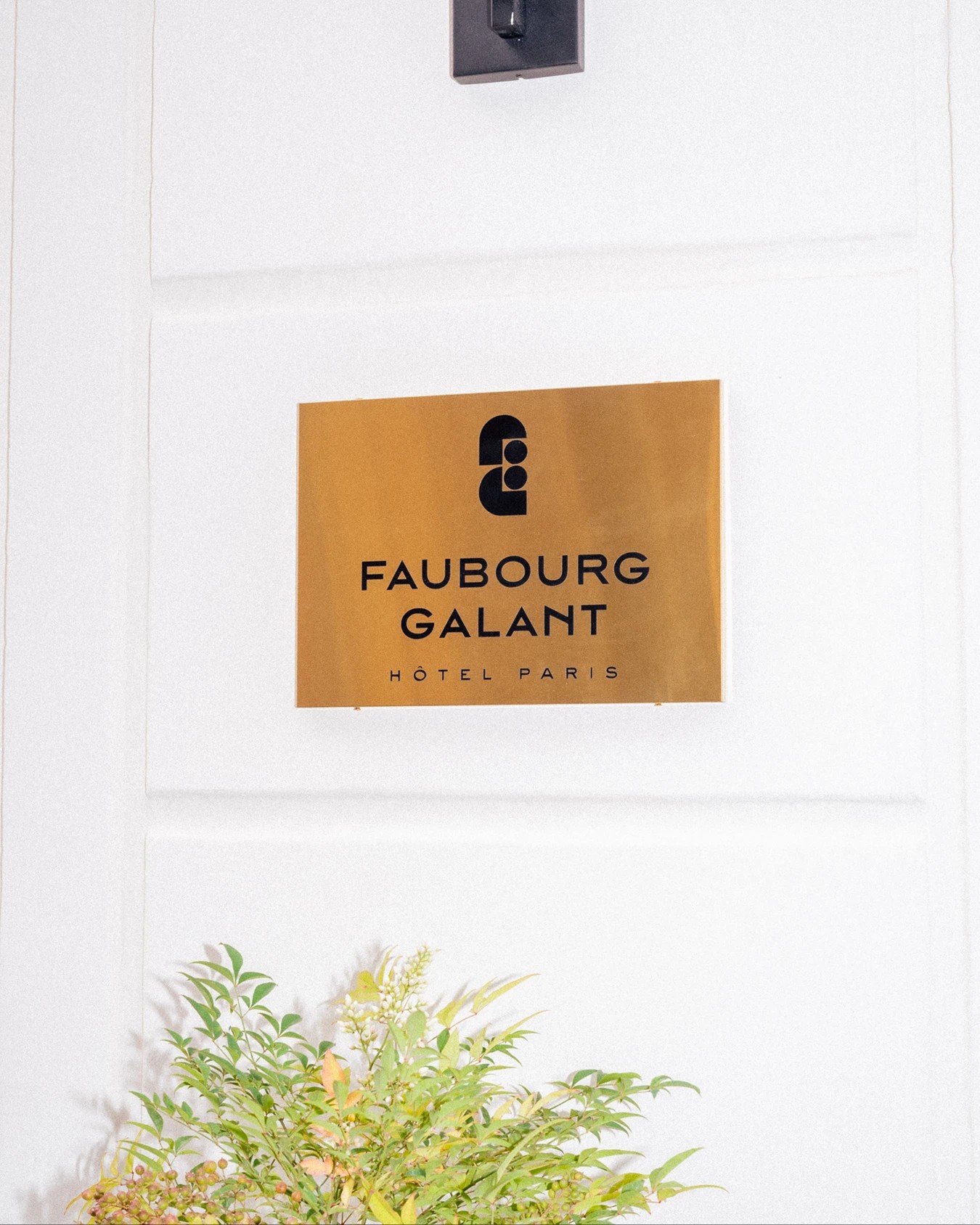 Faubourg Galant Parisian Hotel Branding and Visual Identity