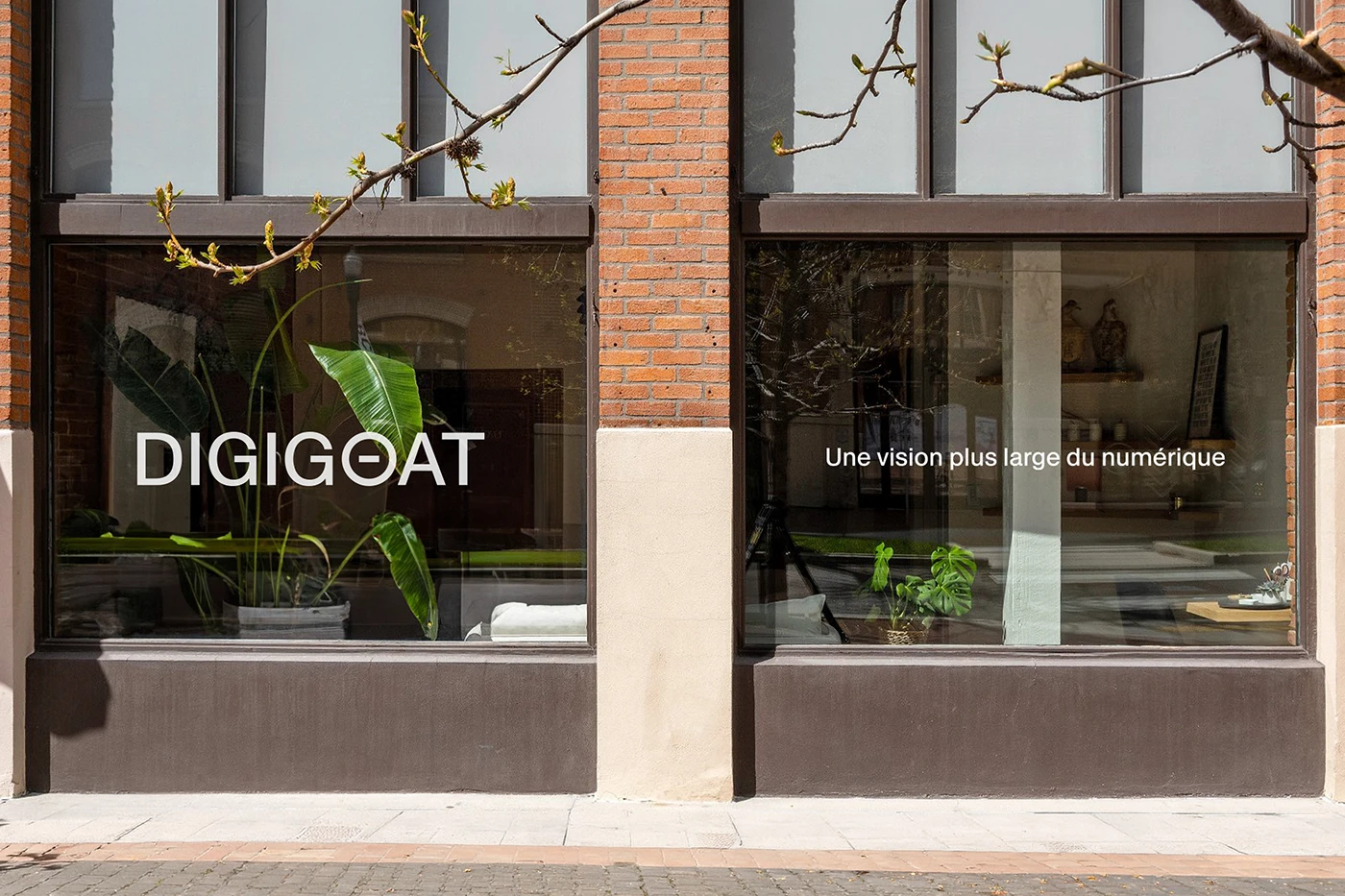 Digigoat branding architectural window signage and studio facade