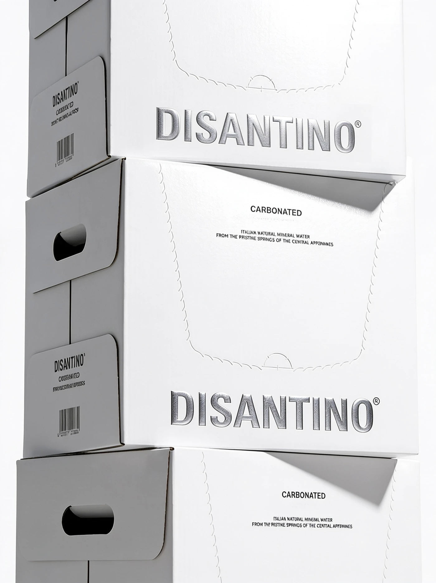 DISANTINO® WATER Packaging branding design asset detail 7