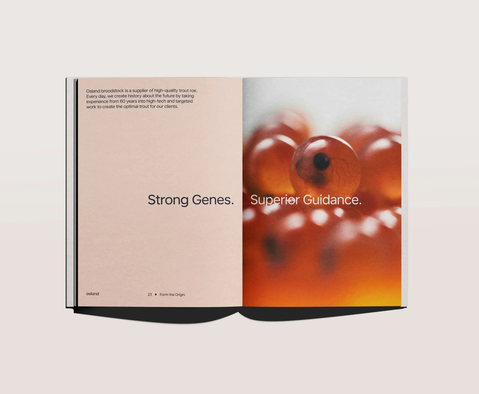 Osland brand book spread pairing a macro photograph of trout roe with the statements Strong Genes and Superior Guidance