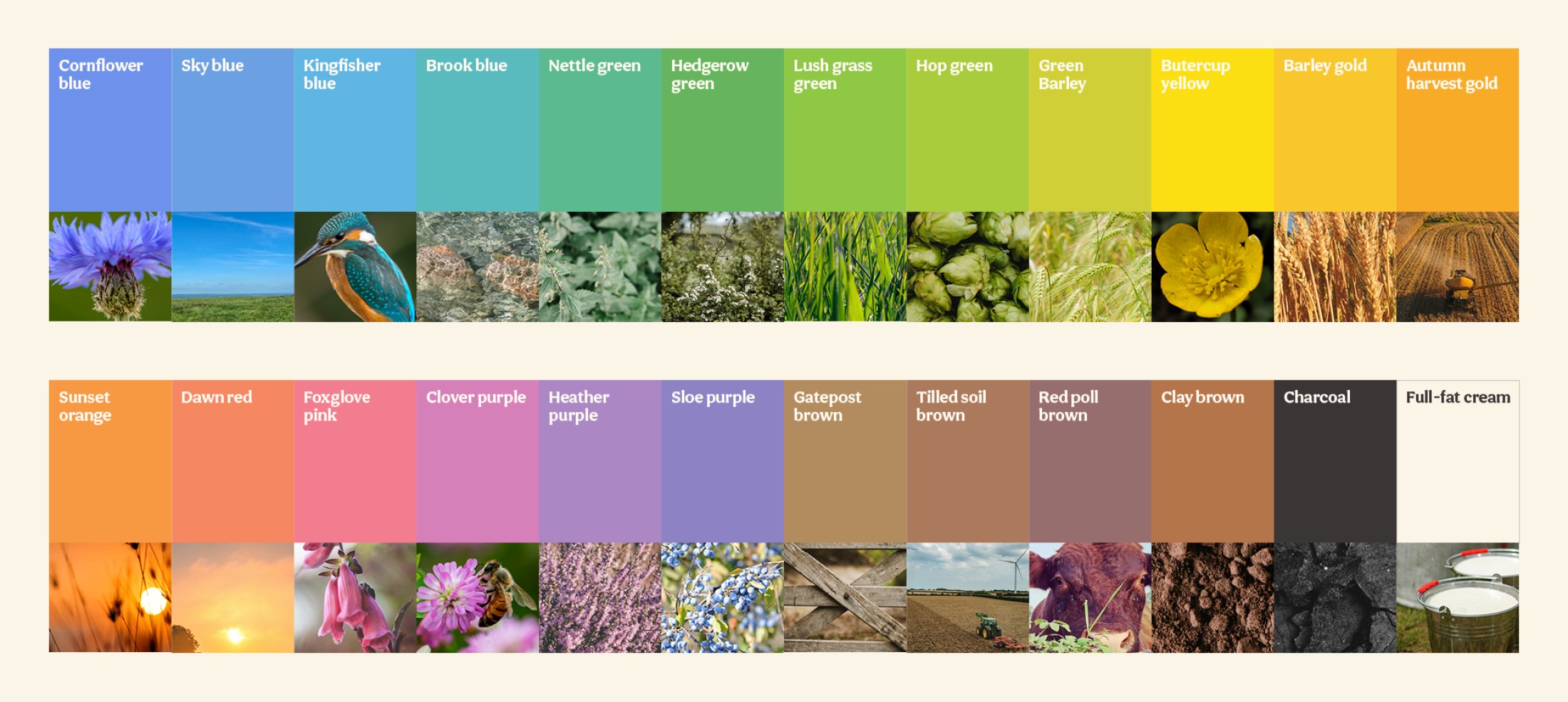 The Somer Valley Brewing color palette, sampled from the farm, from Cornflower blue to Charcoal and Full-fat cream
