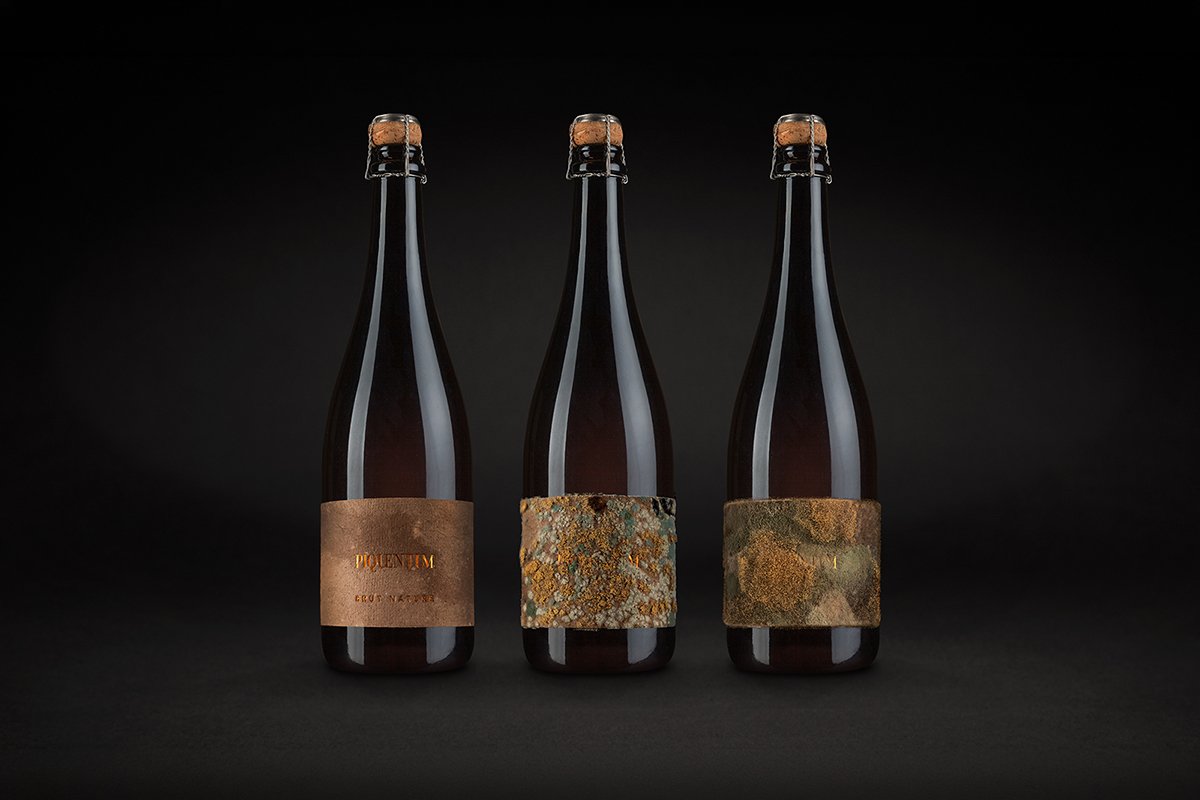 Three Piquentum Brut Nature bottles side by side: one pristine gold-lettered label, two colonised by gold and blue-grey mould