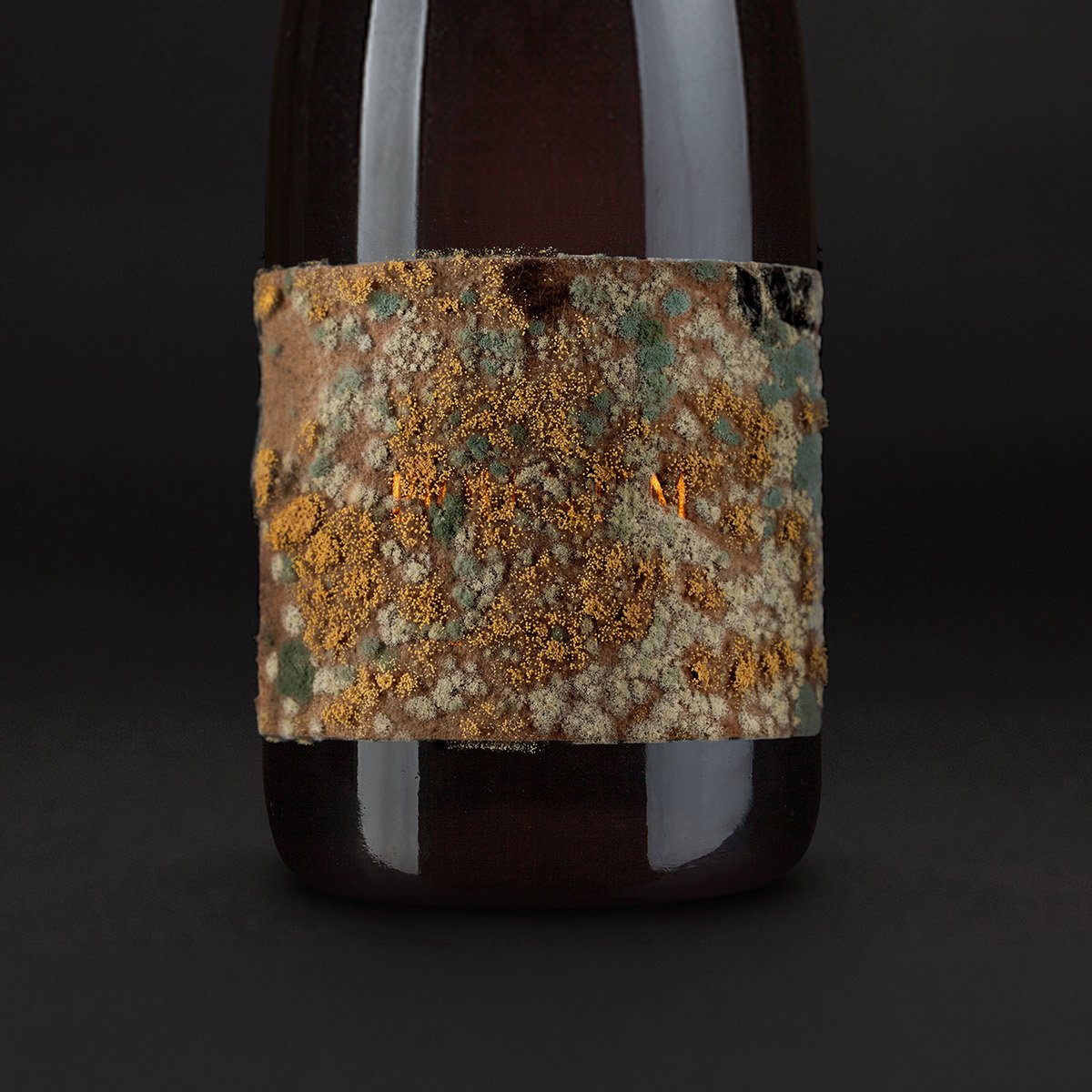Piquentum bottle whose sediment label is half-consumed by mould, with gold PIQUENTUM lettering showing through the blue-grey and gold bloom