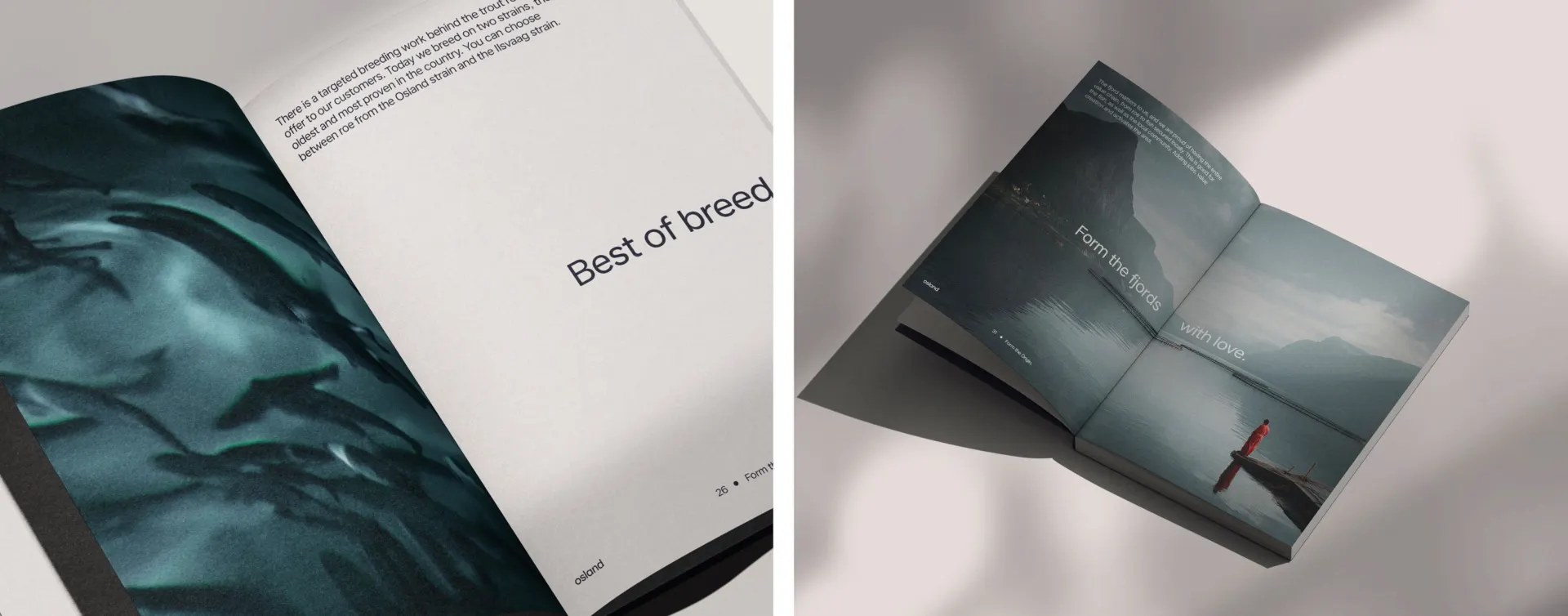 Osland brand book spread with underwater trout photography and the line Best of breed