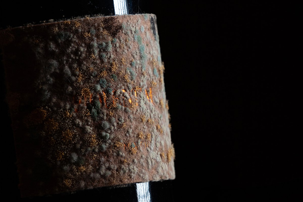 Dark close-up of the colonised label wrapped around a bottle neck, flecks of gold and green mould across the surface