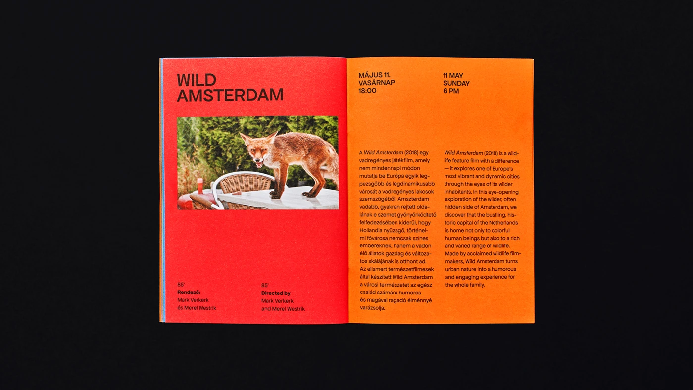 Festival signage with color-block day identifiers and minimal sans-serif typography — Dutch Film Days festival branding