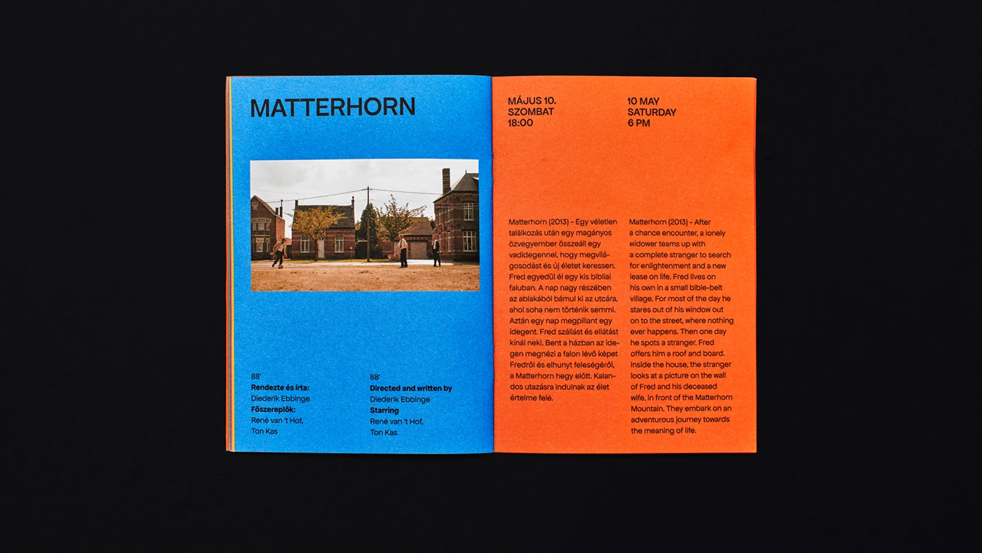 Overview of the full identity system showing poster, card, and signage applications — Dutch Film Days festival branding