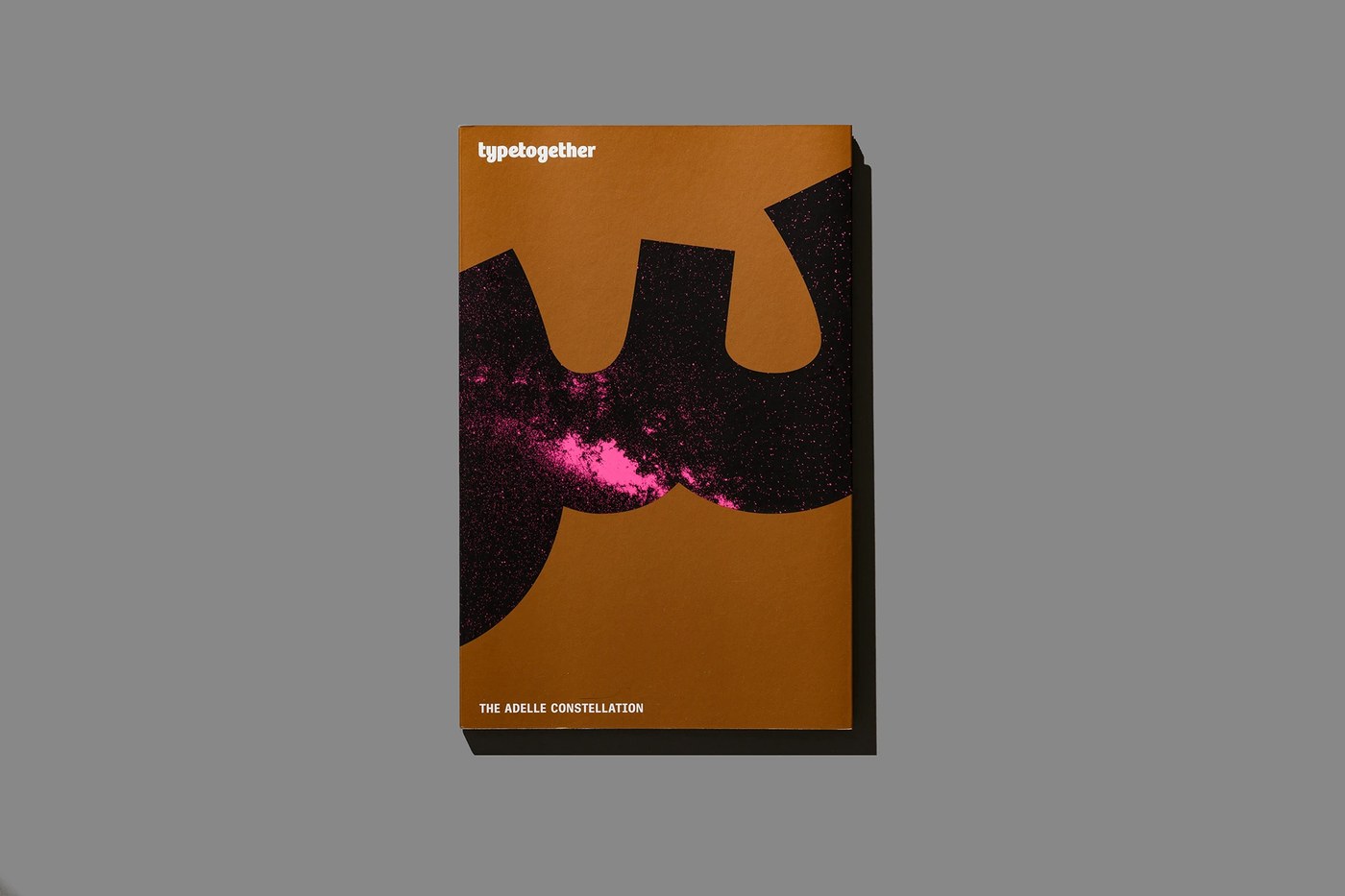 Type specimen cover spread — typography design by Tereza Bettinardi