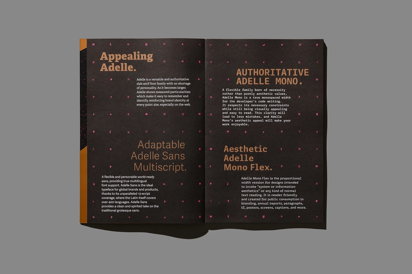 Multi-script layout grid detail — typography design by Tereza Bettinardi
