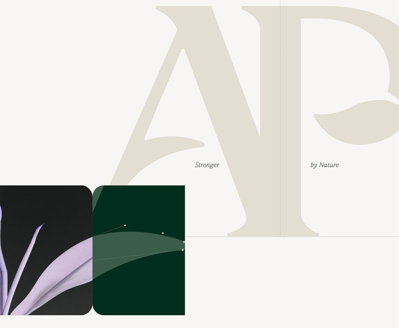 Brand Identity Design: Aire Park by Kiss Branding