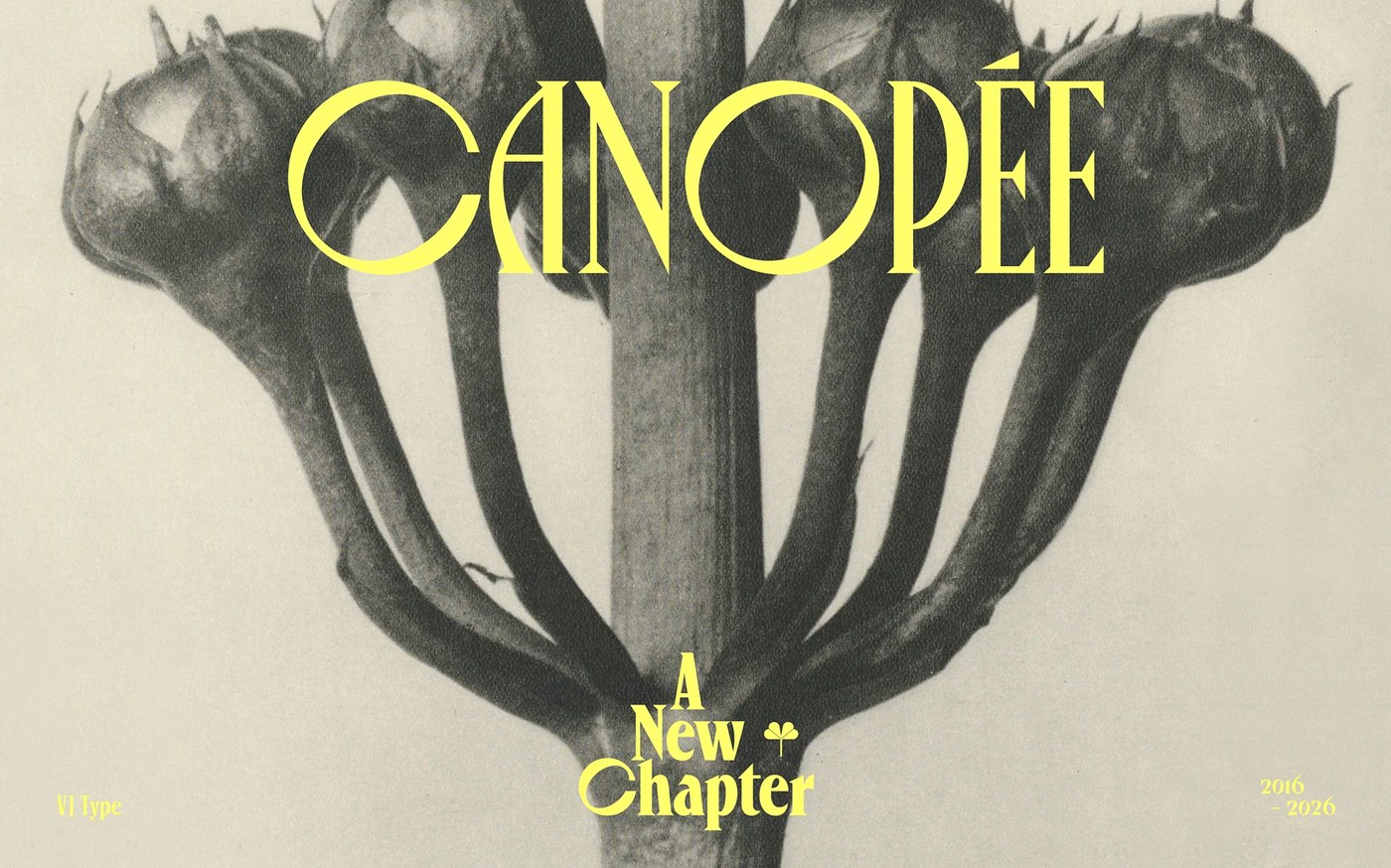 Canopée typeface botanical specimen and typography design by Violaine & Jeremy