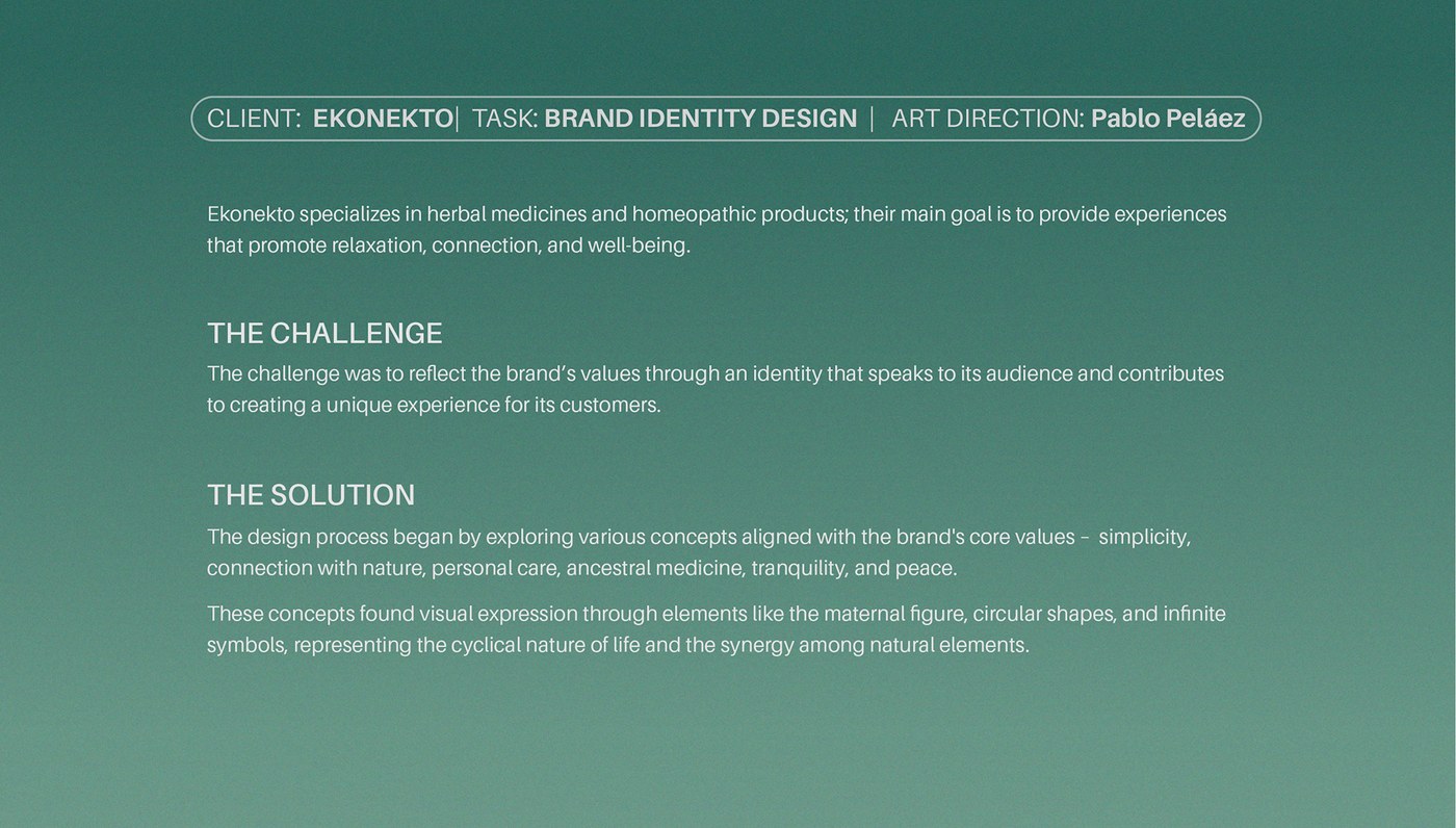 Ekonekto visual system guidelines by Pablo Pelaez Gallego