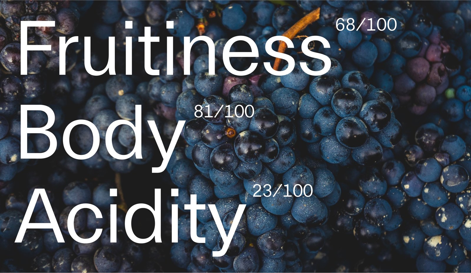 Flavor profile telemetry showing Fruitiness 68/100, Body 81/100, and Acidity 23/100 over dark wine grapes by Bedow