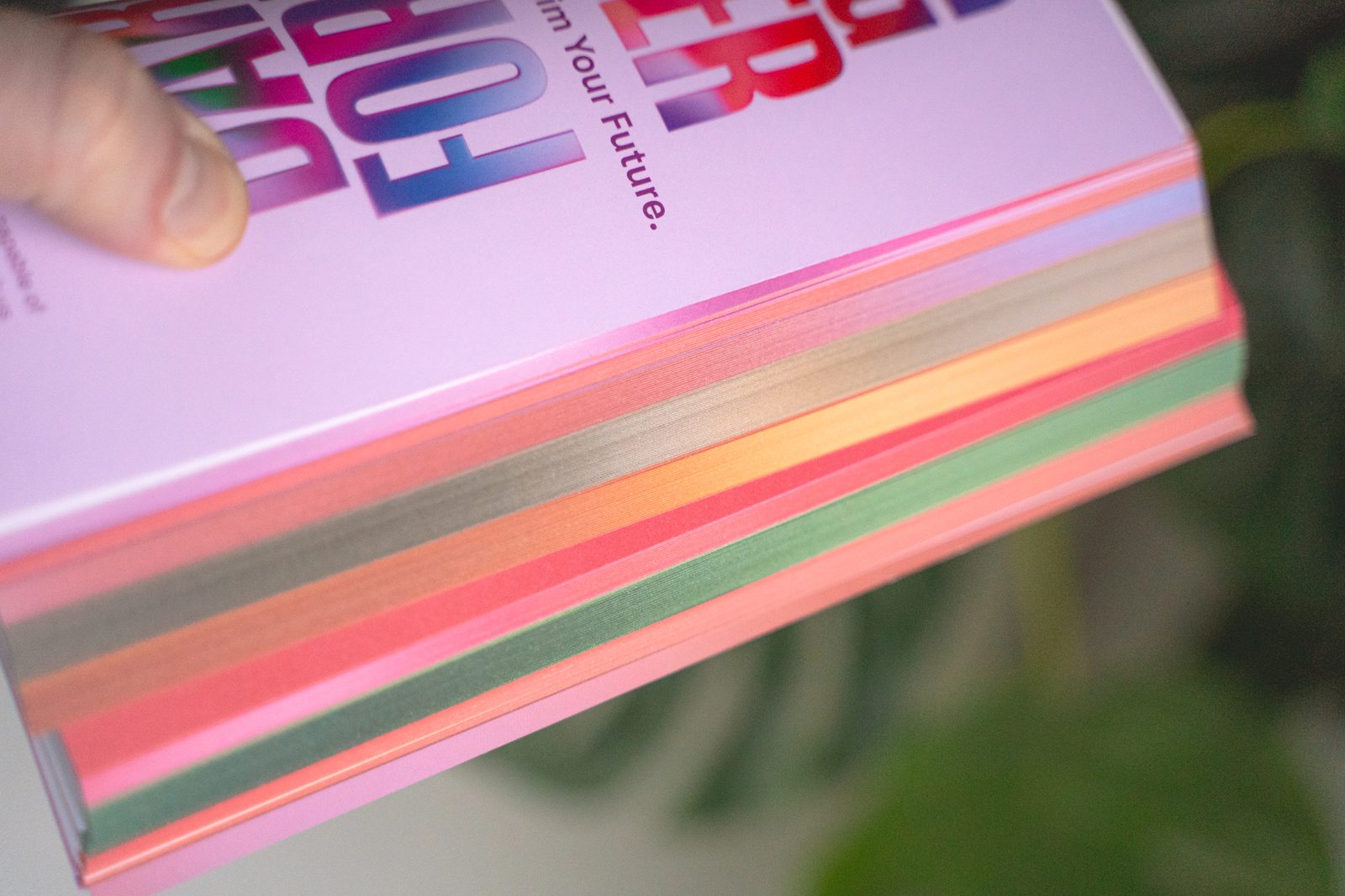 Close-up of the multicoloured page edges, Daring Forever book by Radim Malinic