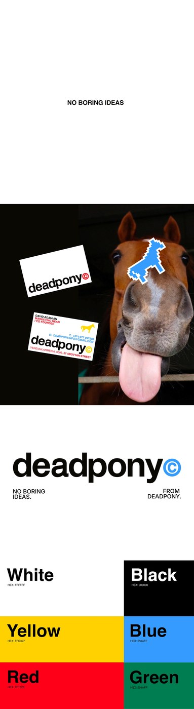Deadpony Studio brand identity design hero shot by Anna Matevosian