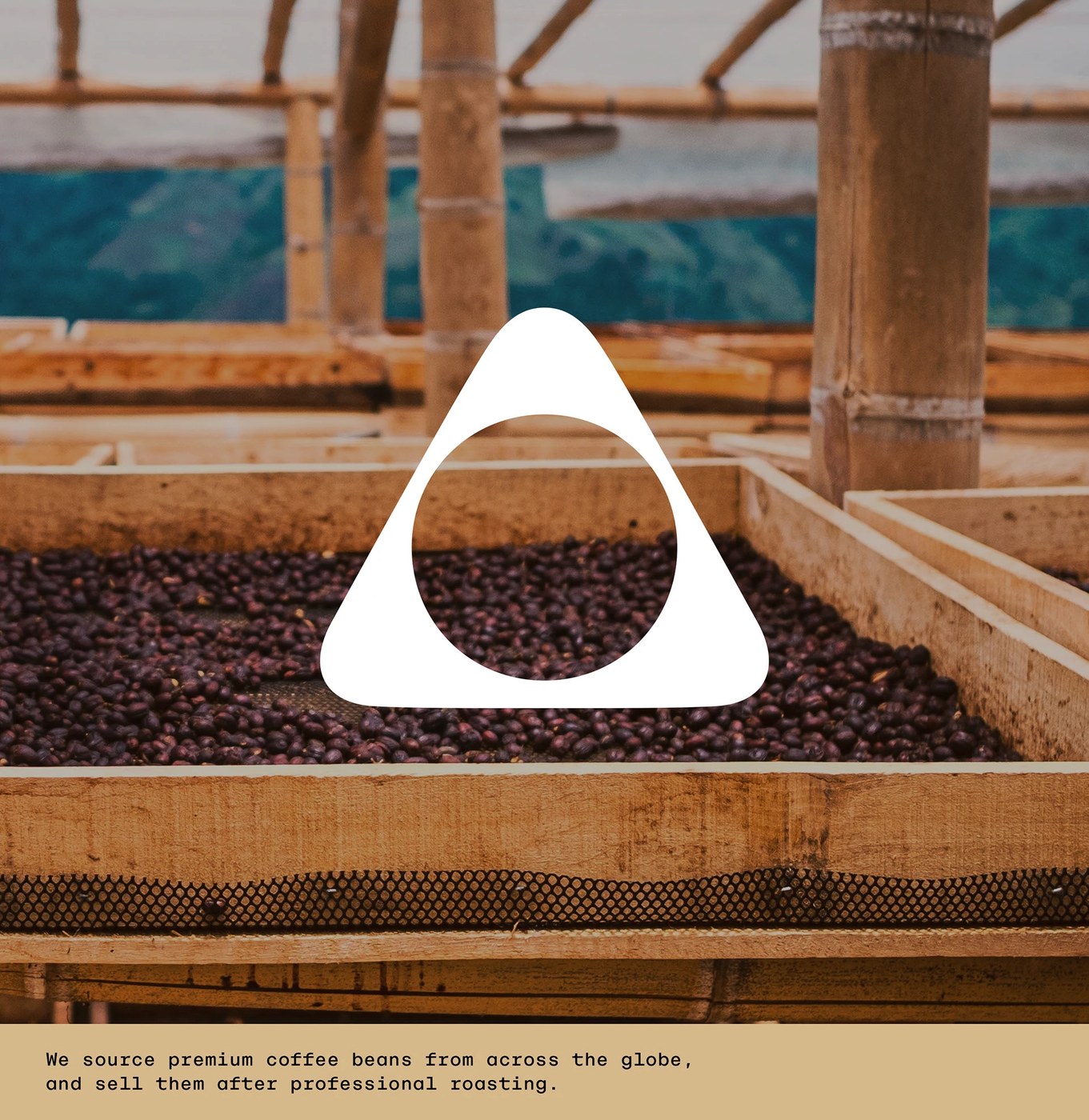 Desert Coffee Roasters Visual Identity and Branding by taoSTUDIO