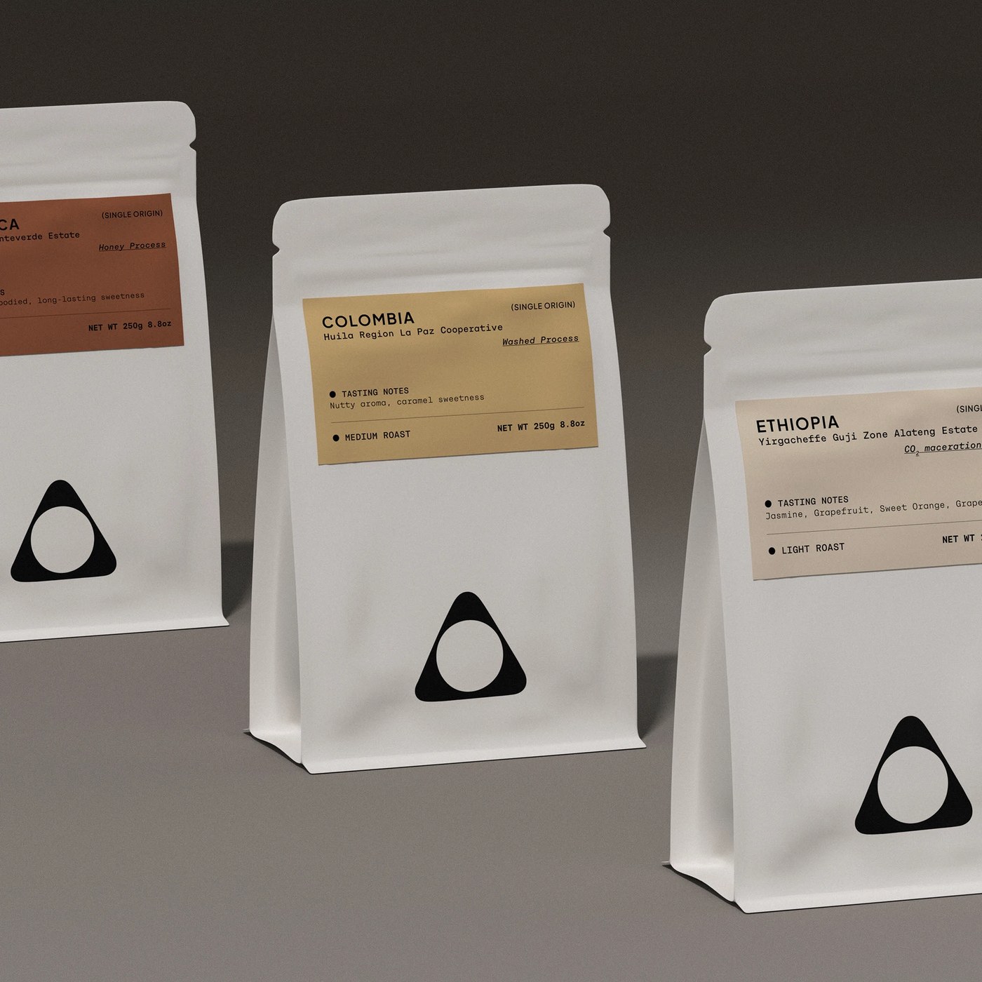 Desert Coffee Roasters Visual Identity and Branding by taoSTUDIO