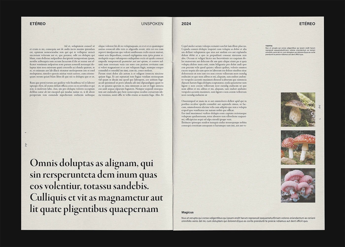 Etéreo Zine M / Martins Estúdio Editorial Layout