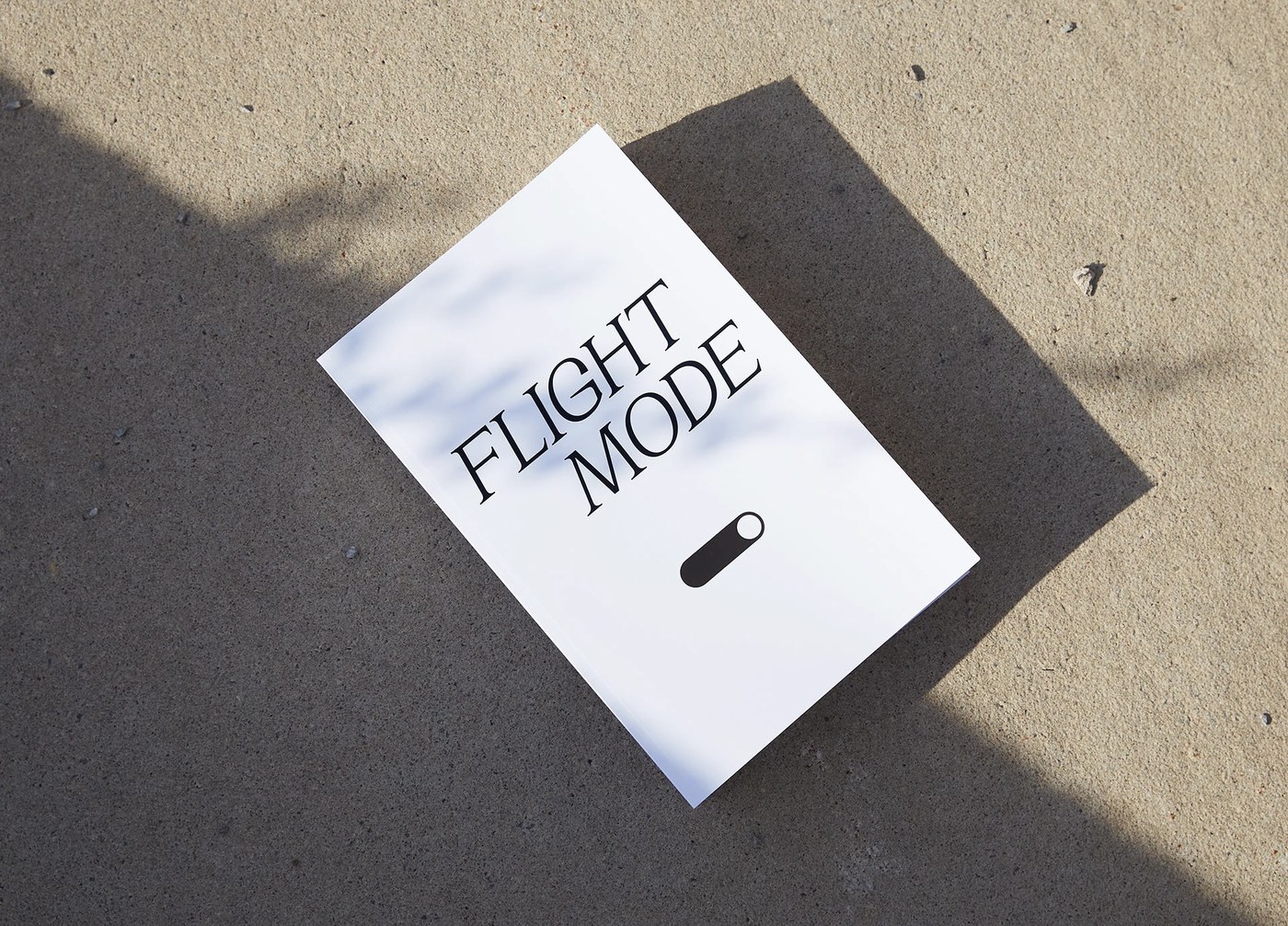 Flightmode Exhibition Identity Catalogue Heather Lynn Billyclub
