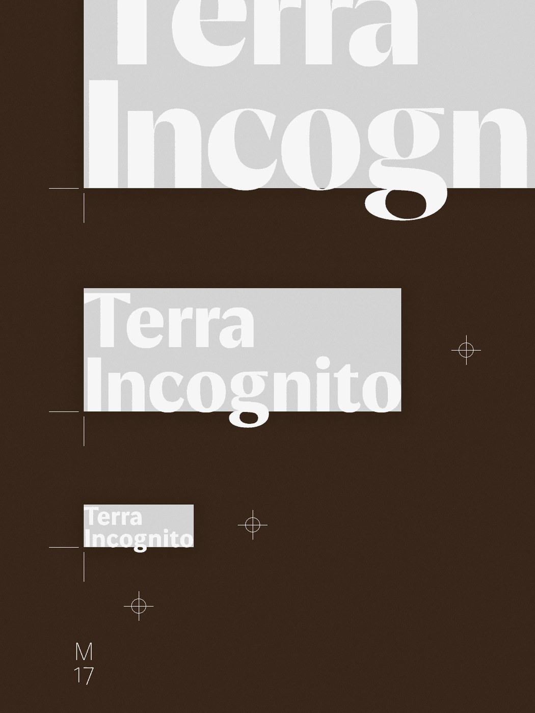 Fluxetype typography specimen poster Terra Incognita optical scaling