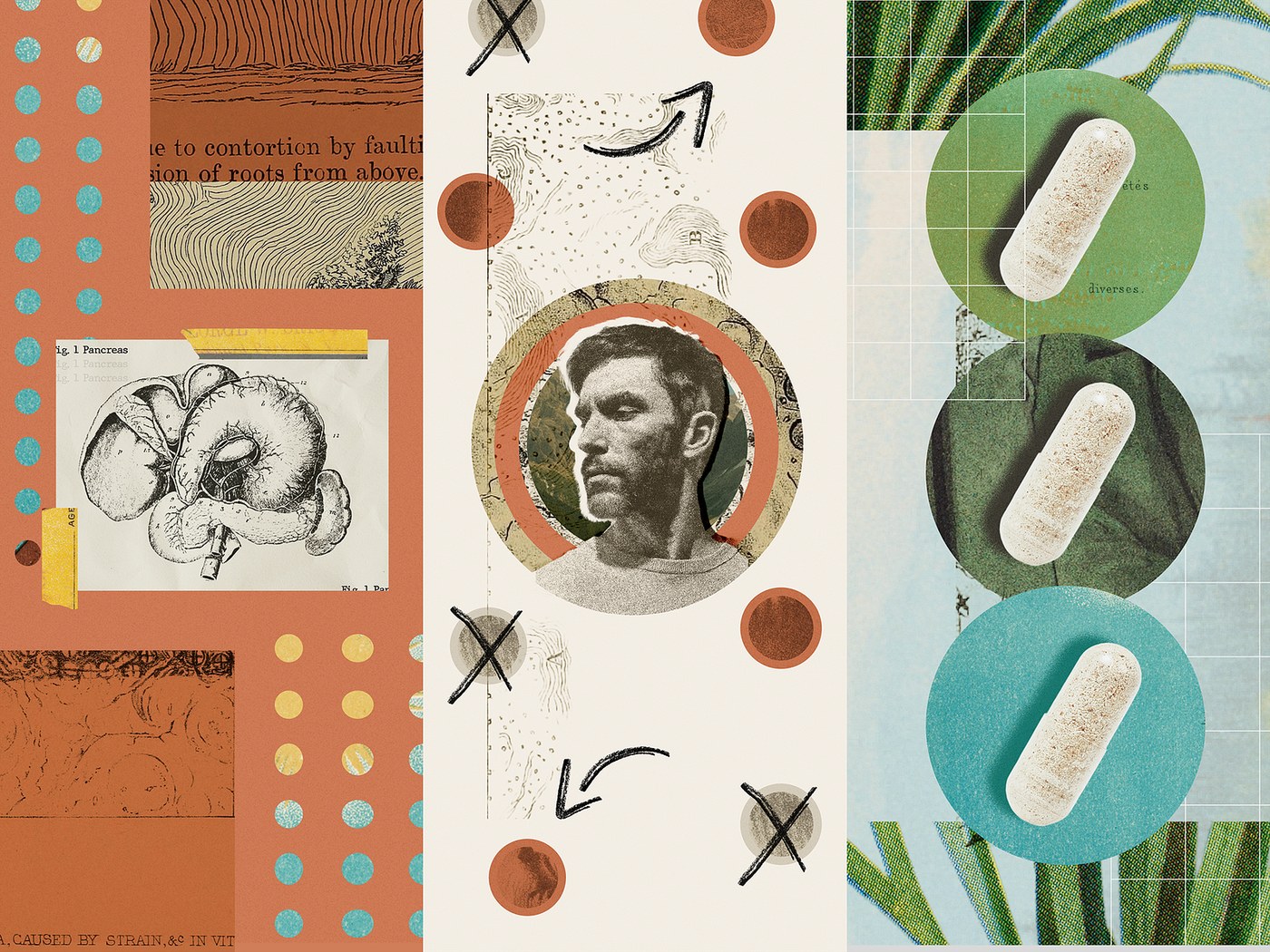 Function Health Collage Illustration Josh Warren by Josh Warren