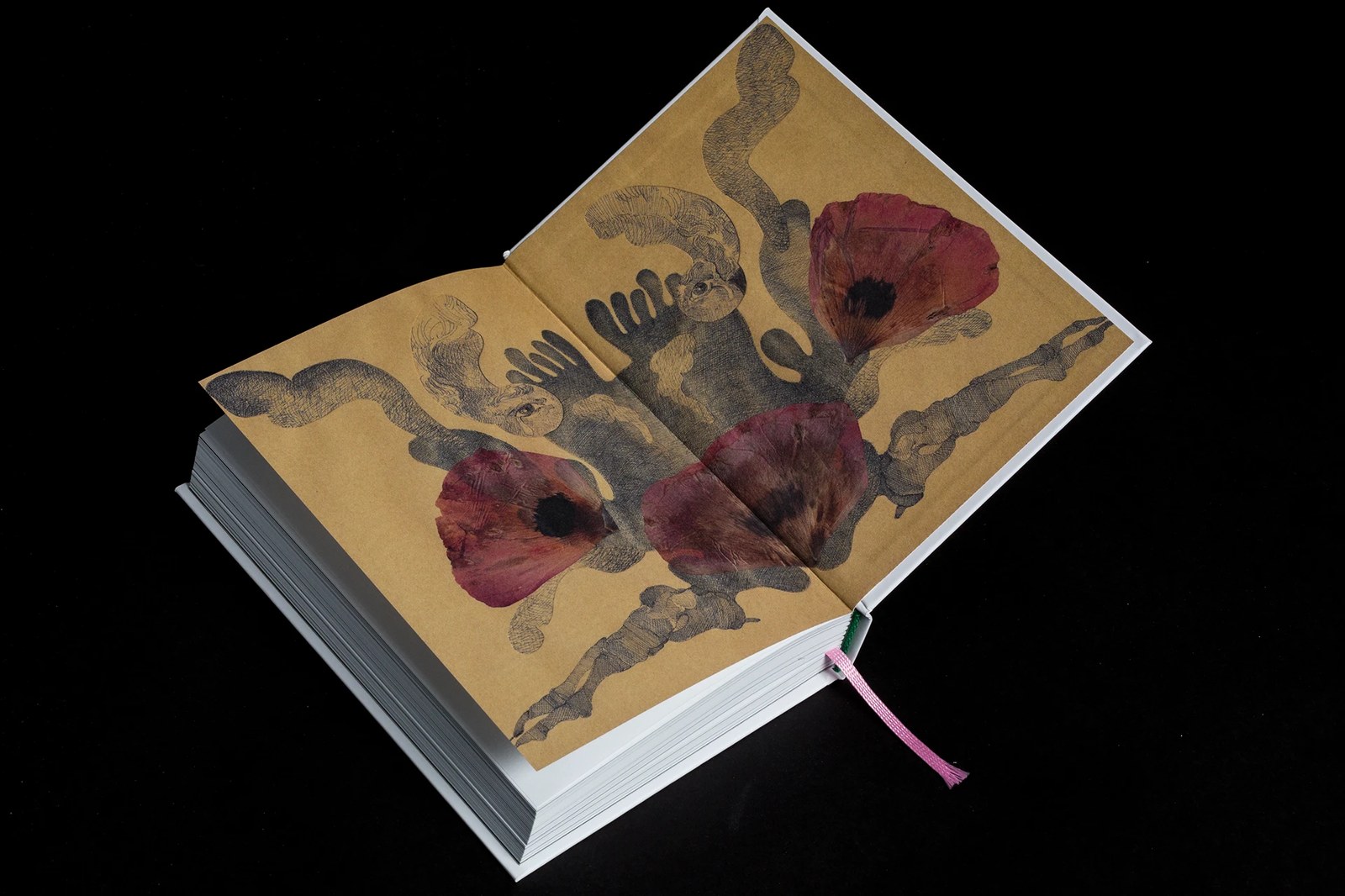 Back endpaper book design spread pairing surrealist cross-hatched ink figures with pressed poppy petals across the gutter