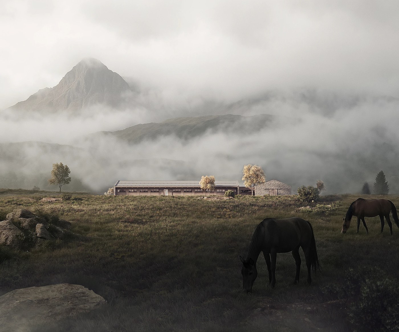 Clean web design project showcase featuring full-bleed photography for Kononenko Bureau