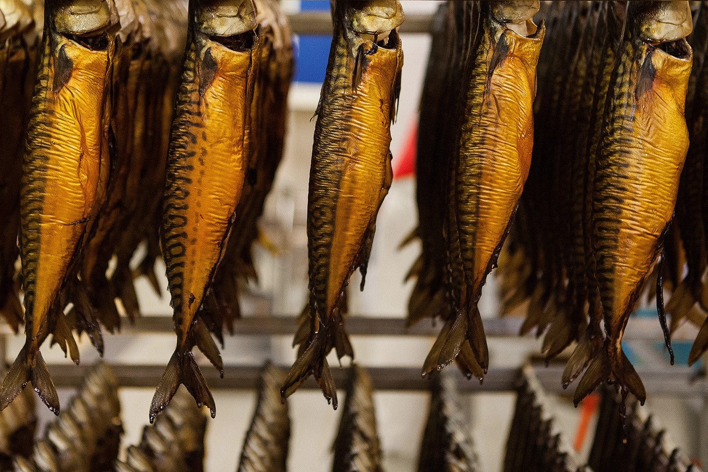 Smoked fish curing racks in packaging design by Kurppa Hosk