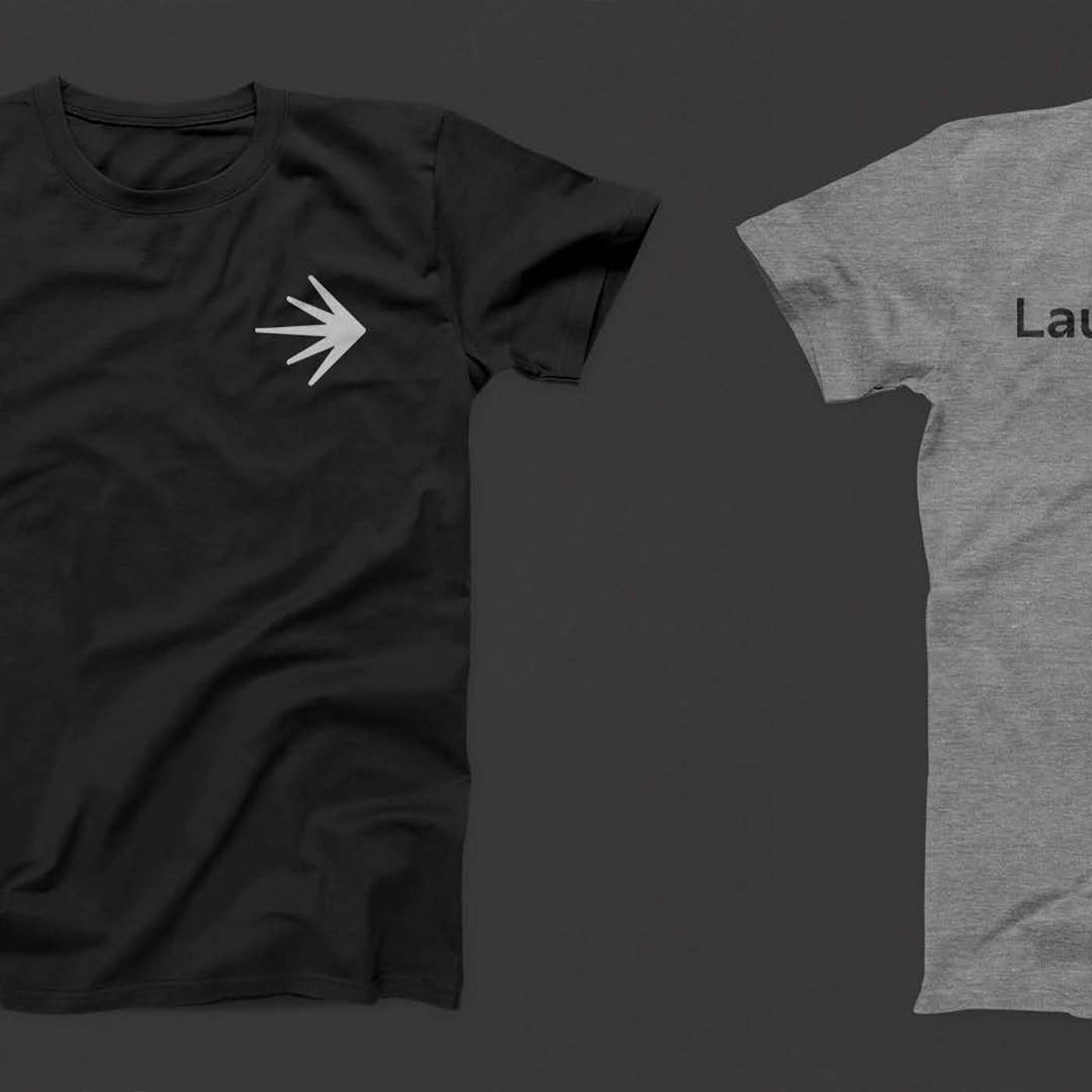 LaunchDarkly application detail — visual identity by Focus Lab