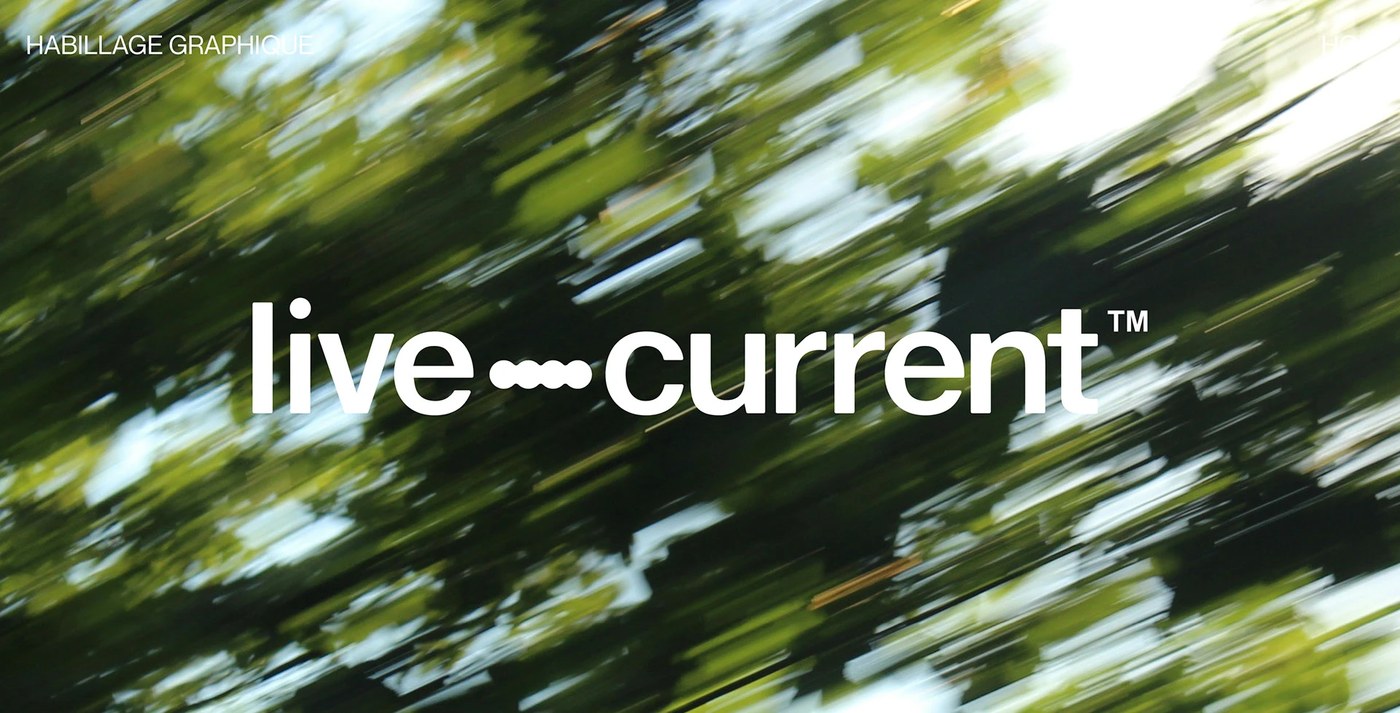 Live Current primary wordmark over motion-blurred green forest canopy — brand identity by Florian Cornut
