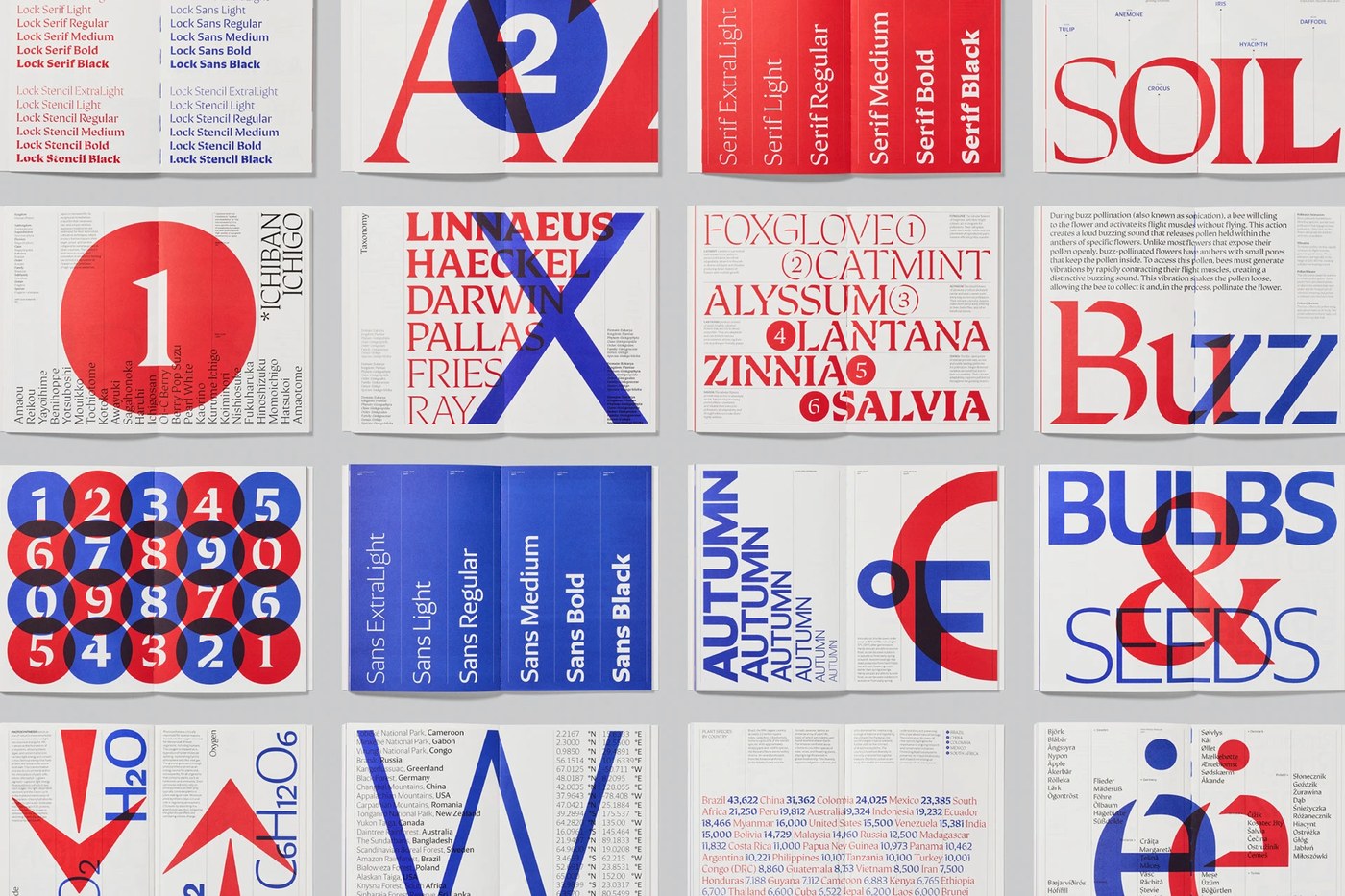 Printed specimen book editorial layout spreads by Astrid Stavro for Lock typography design by Mash Creative