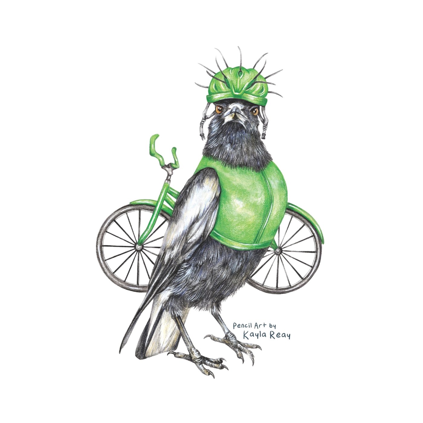 Clive the Cyclist magpie coloured pencil wildlife illustration by Kayla Reay for Lonely Kids Club