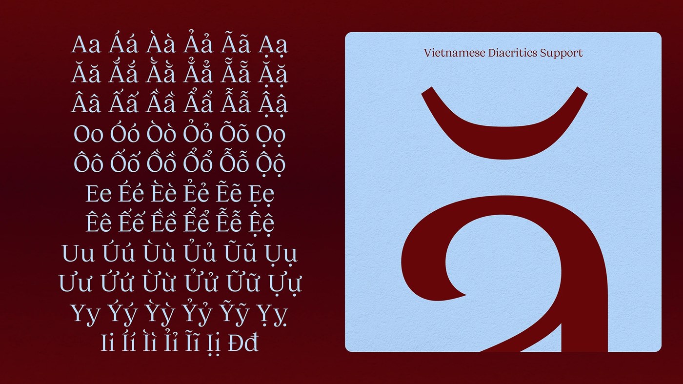 Typography Design: Mistan Display Typeface by thiennhi le