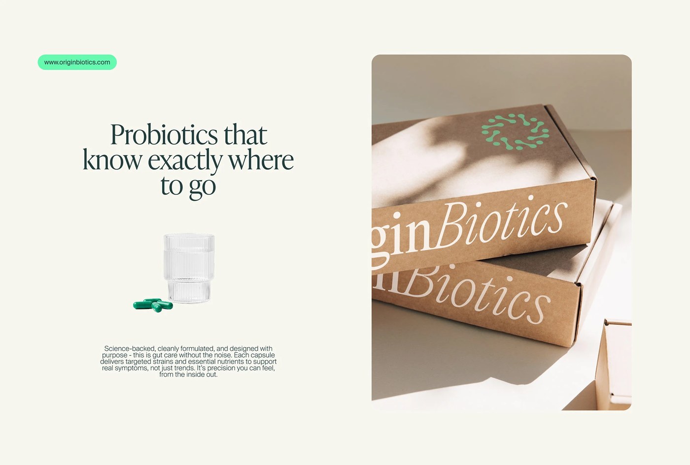 Originbiotics packaging template grid and layout system