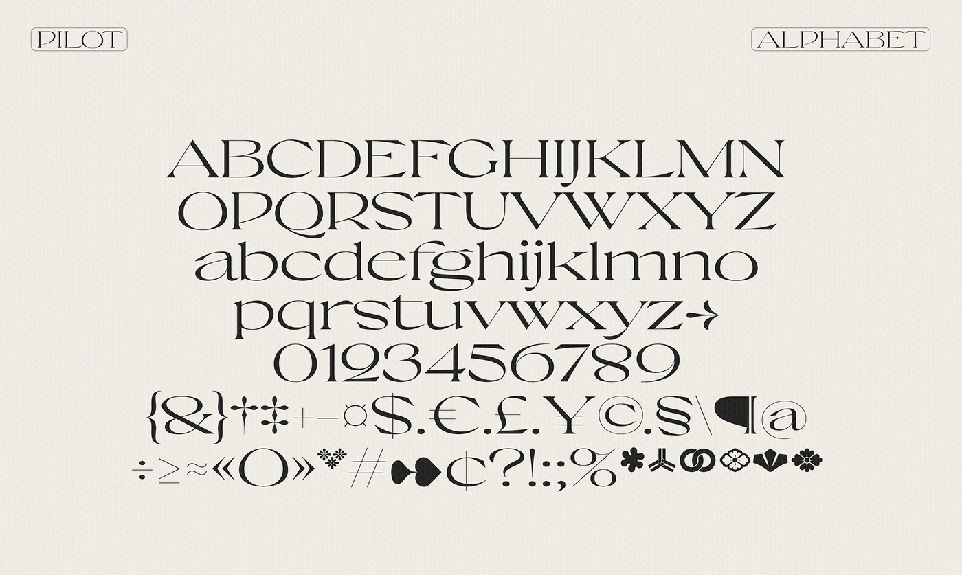 Uppercase and lowercase character comparisons showing angular terminals in Pilot Typeface