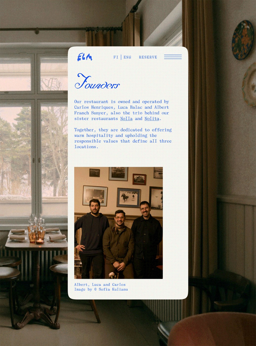 Mobile web design showcasing the blue brushstroke Elm logo header and layout