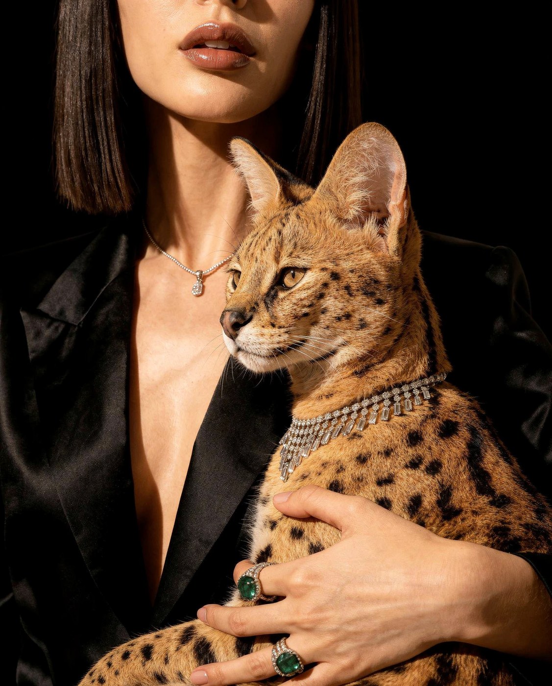 Savene jewelry brand identity showcasing creative directional photography with cat