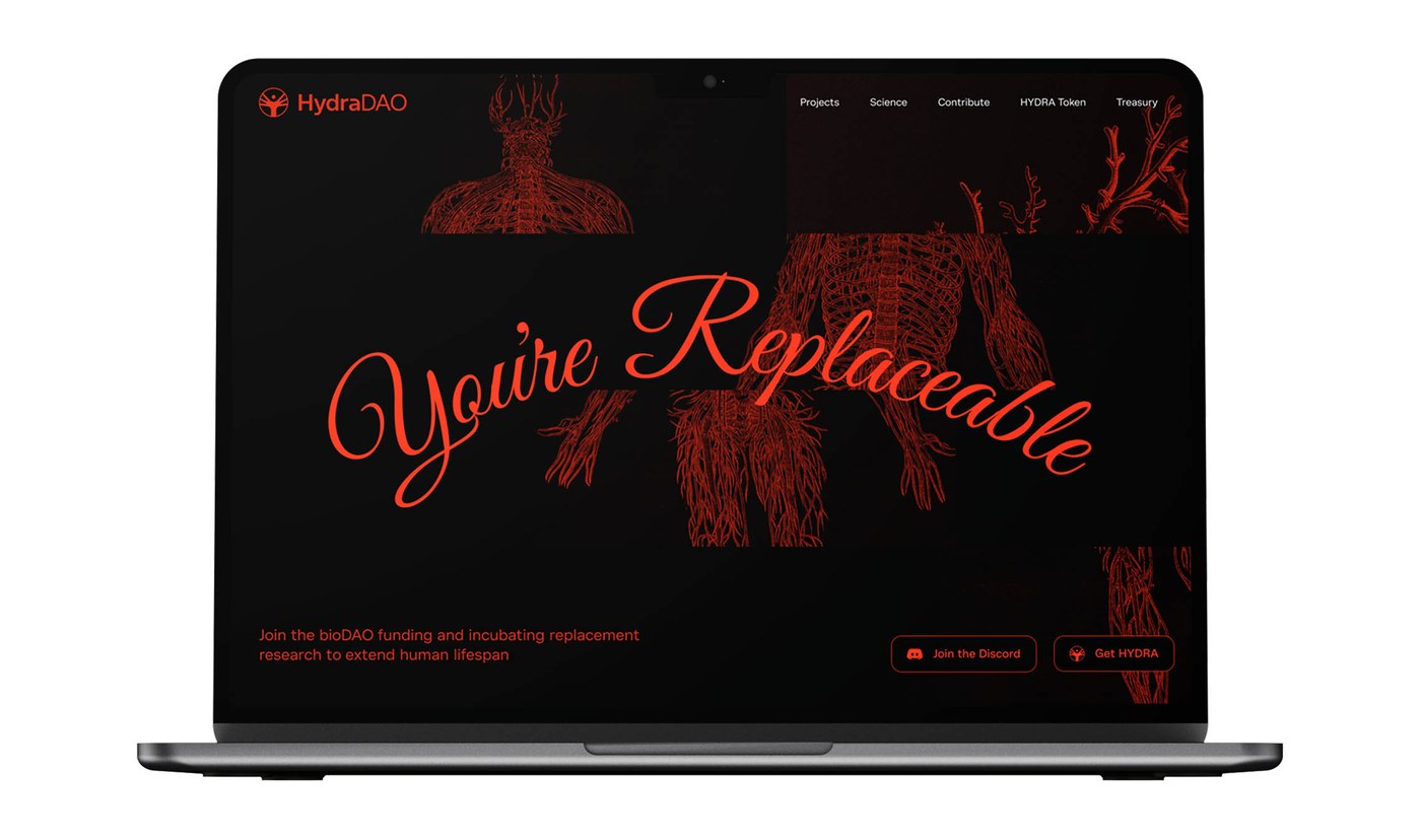 HydraDAO brand identity graphic print layout and custom card design