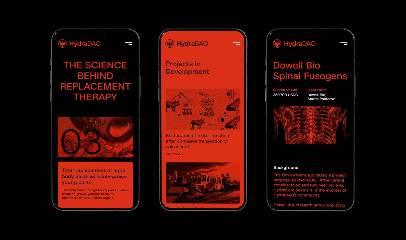 HydraDAO brand identity printed book cover or booklet layout design