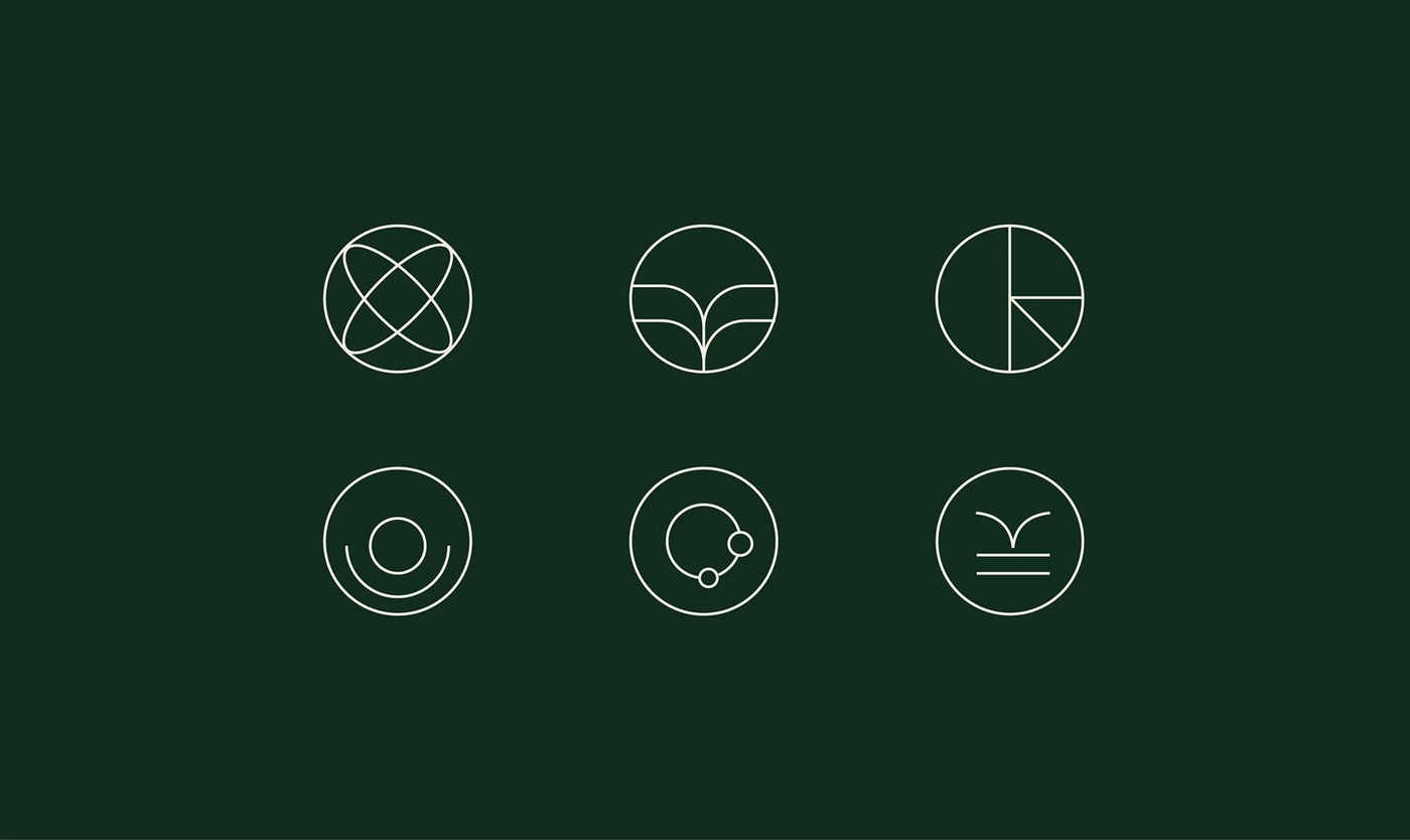 Cardboard box designs for skincare brand identity packaging design typography