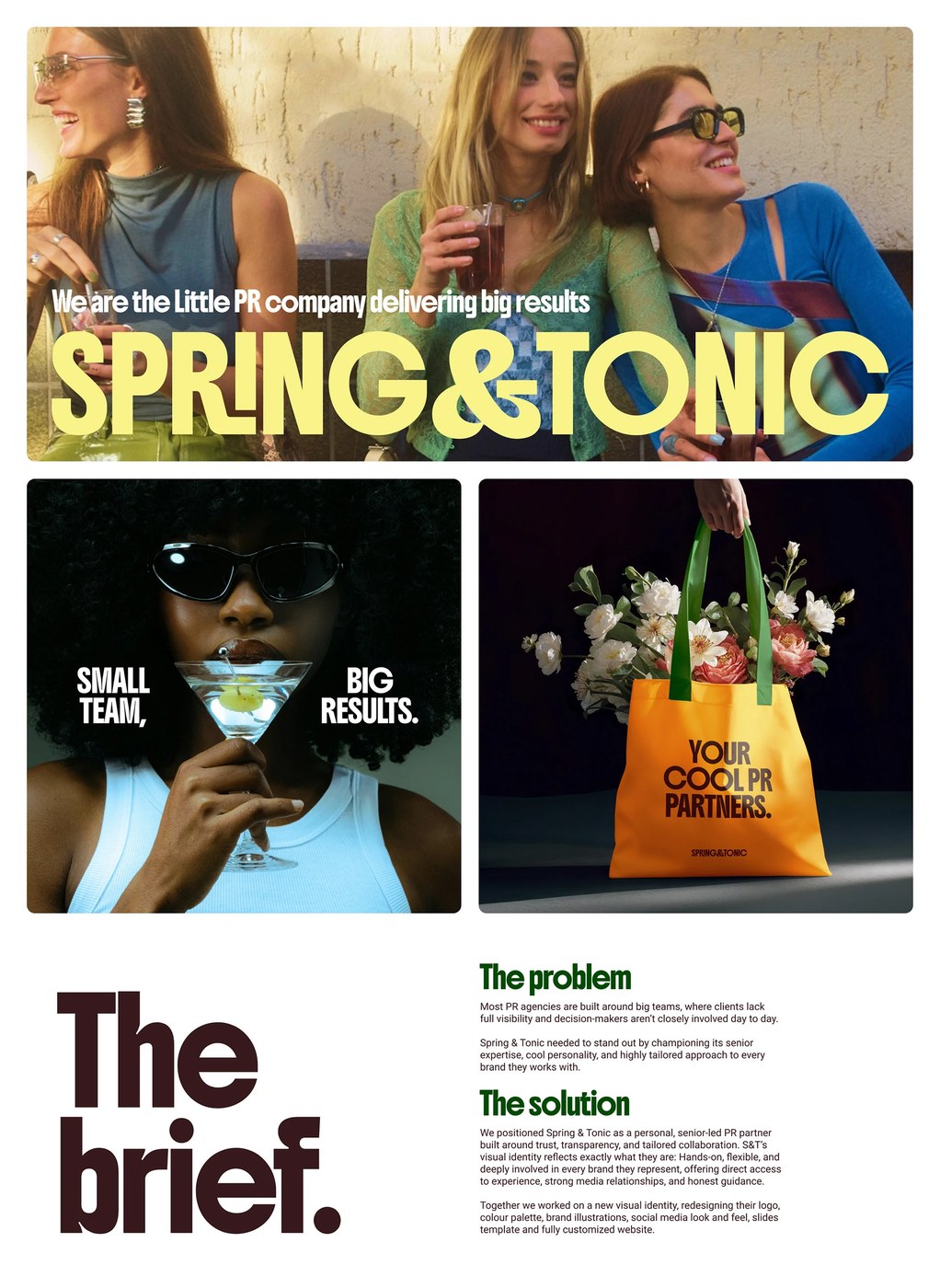 Visual Identity: Spring & Tonic by Ricardo Chacoa