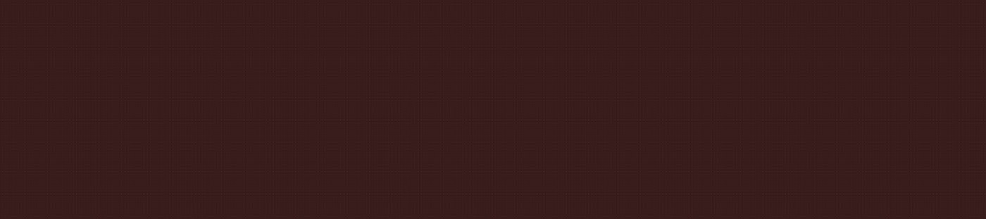 Spring & Tonic visual identity design system logo animation loop