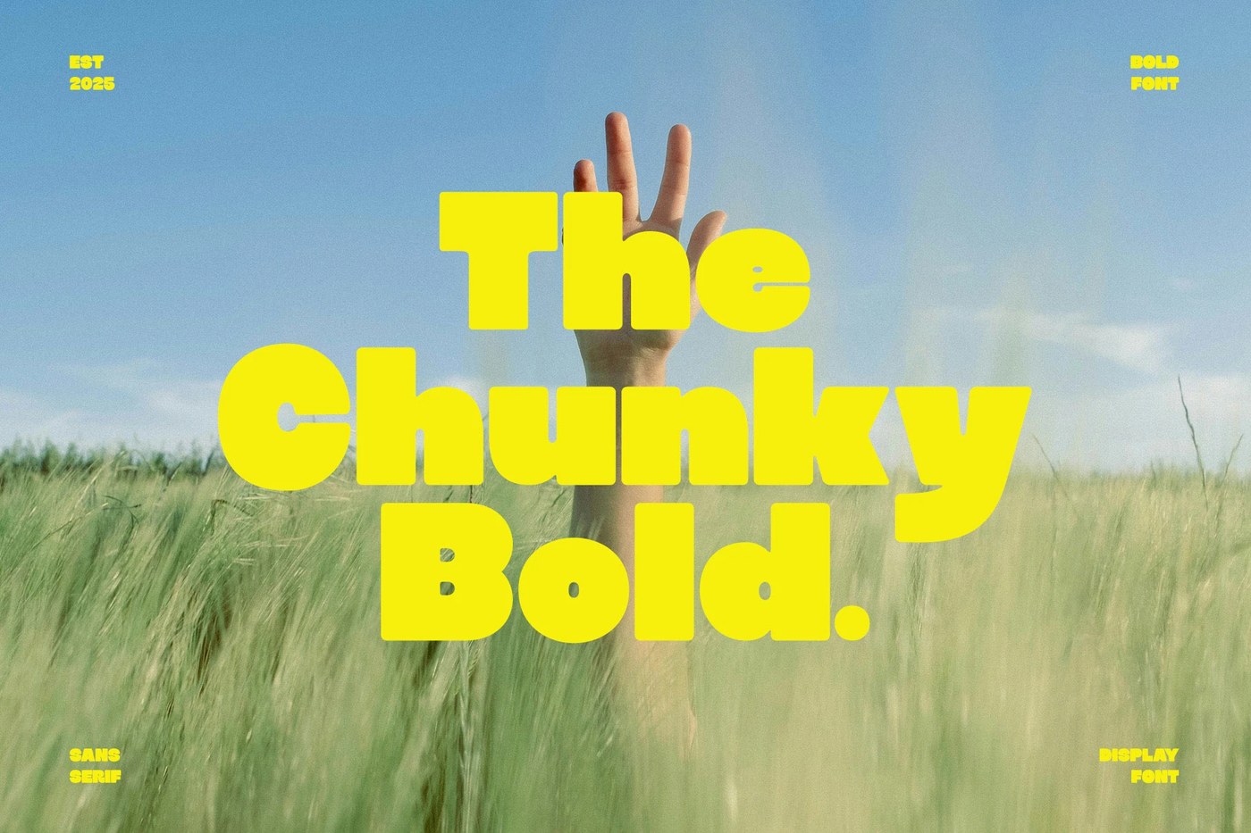 Display sans serif character set showing rounded geometry