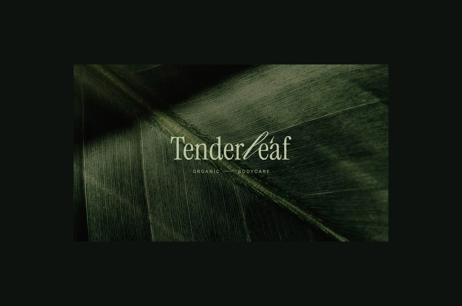 Tenderleaf Organic Bodycare serif and script logotype set over macro green leaf texture