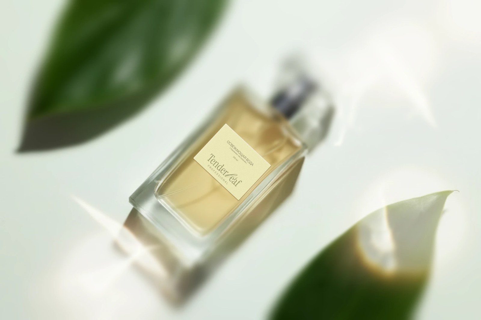 Tenderleaf rectangular glass bottle with textured cream paper label surrounded by sunlit leaves