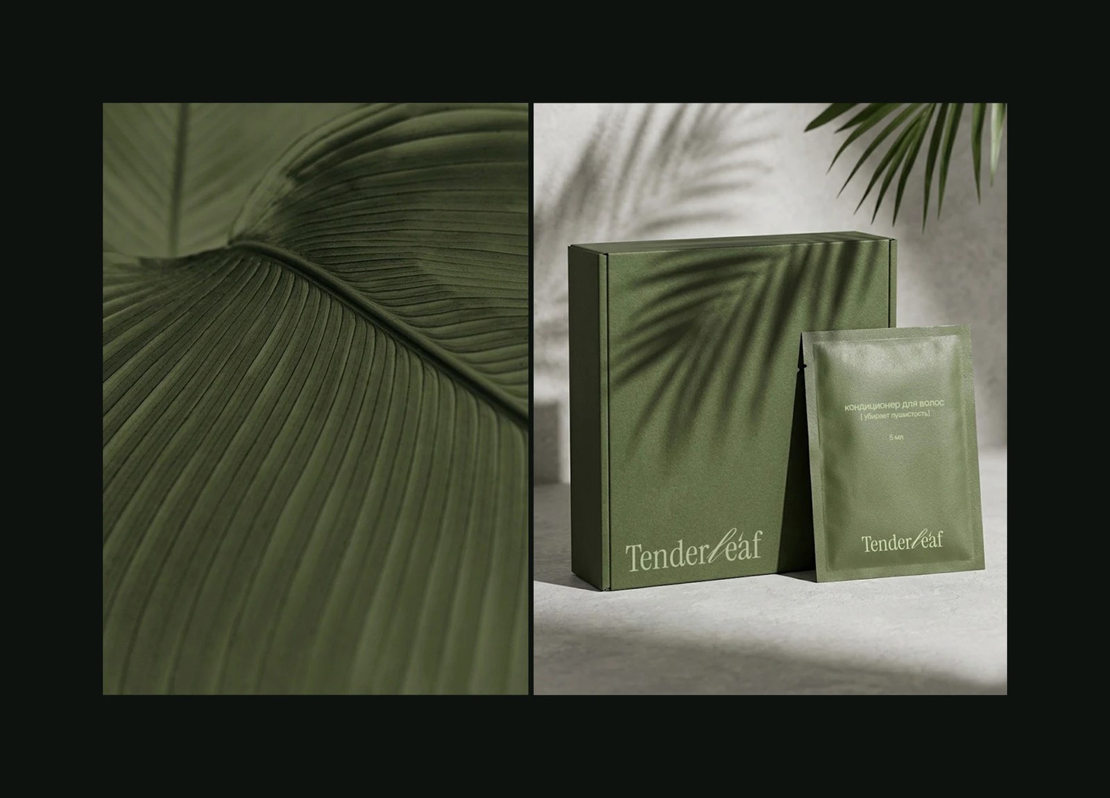 Tenderleaf matte moss green packaging box and single-use sachet beside macro botanical leaf ribs