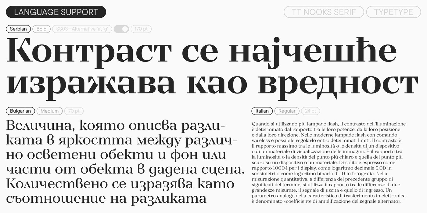 Typography Design: TT Nooks Serif by TypeType Foundry