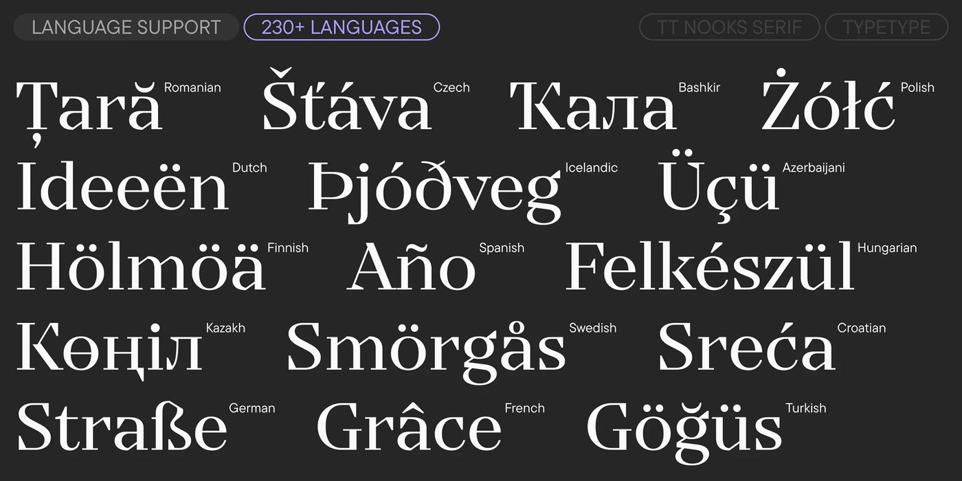 Global language support specimen with diacritics and glyph variations in typography design