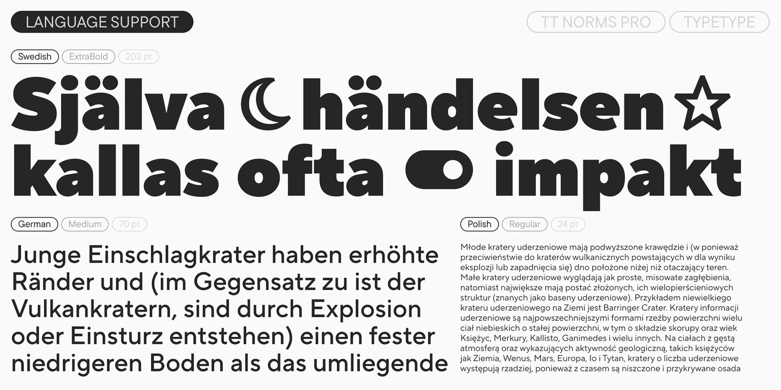 TT Norms Pro type design hierarchy specimen showing 203 pt Swedish ExtraBold with inline icons above 70 pt German Medium and 24 pt Polish Regular text
