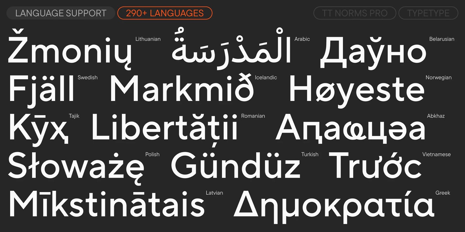 Multi-script language specimen for TT Norms Pro 4.100 covering Lithuanian, Arabic, Belarusian, Icelandic, and Greek by TypeType Foundry